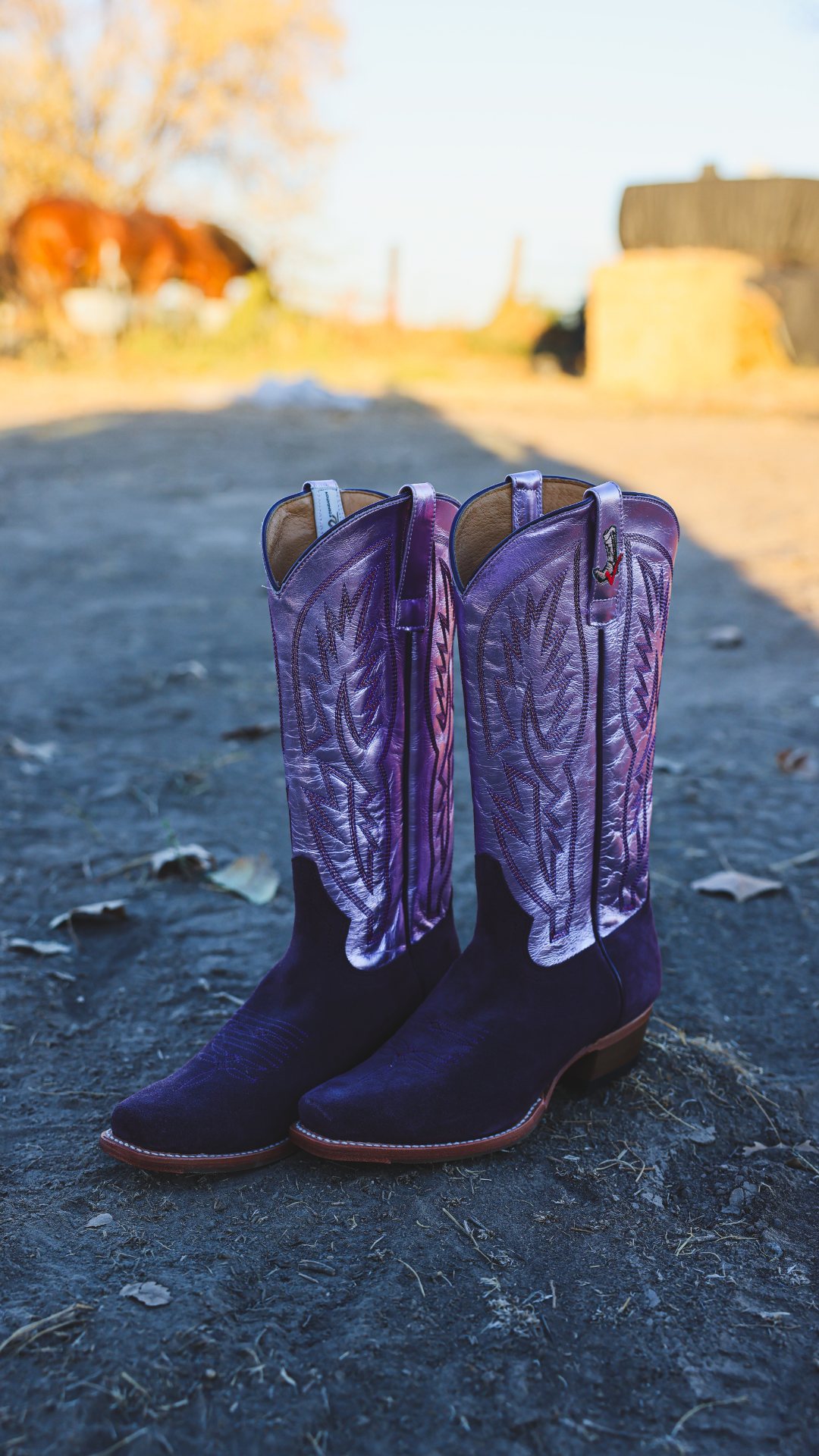 Macie Bean Jae Foundation Women's Purple Cowboy Boots M7512JP