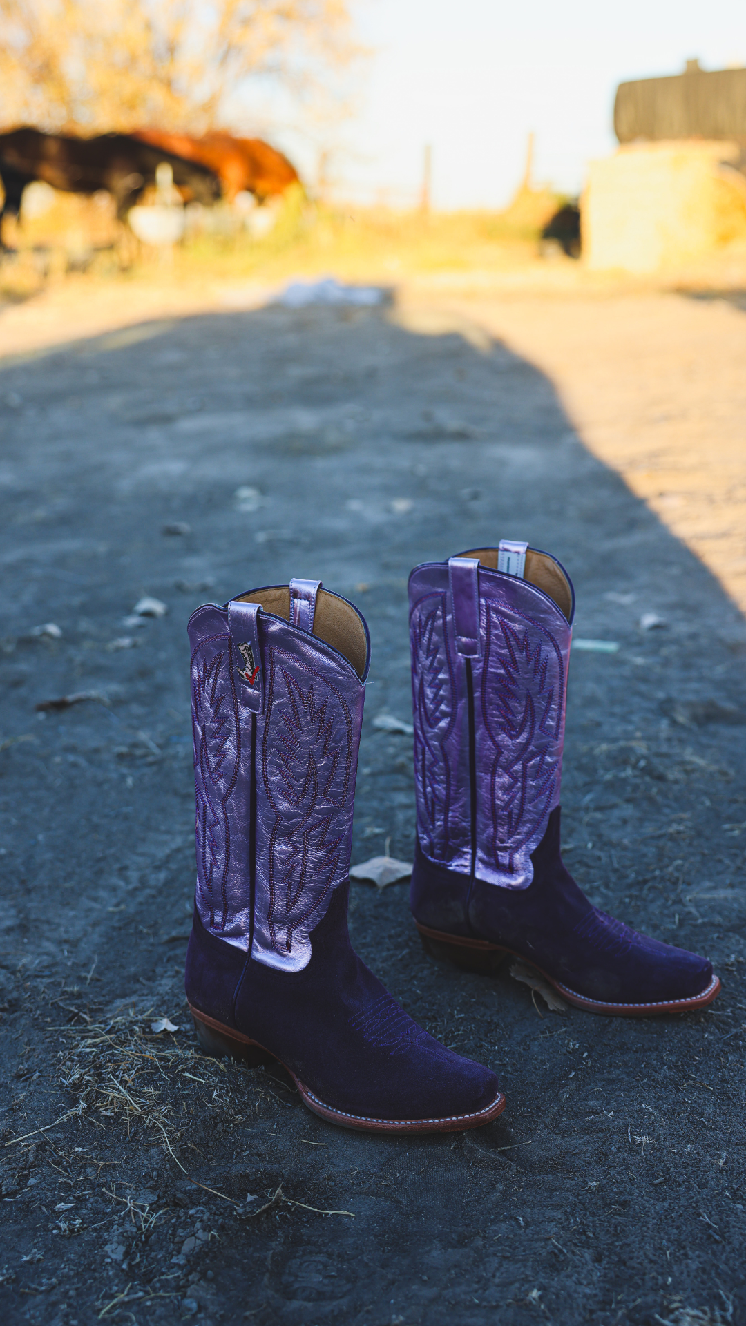 Macie Bean Jae Foundation Women's Purple Cowboy Boots M7512JP